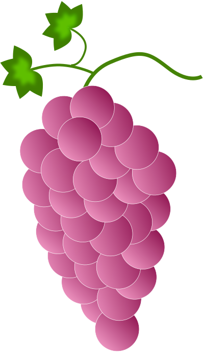 Colored Grapes 4 2016032519