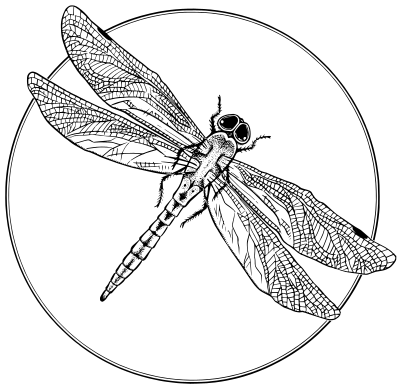 dragonflyinacircle pd