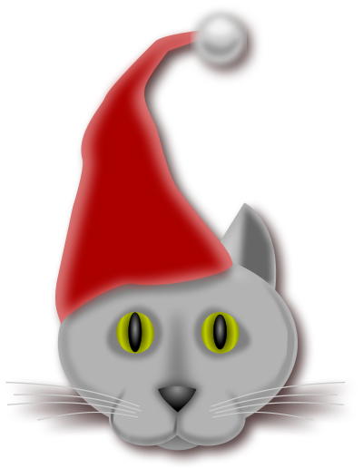 kissi