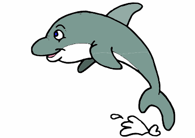 dolphin