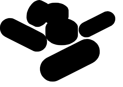 capsule 11
