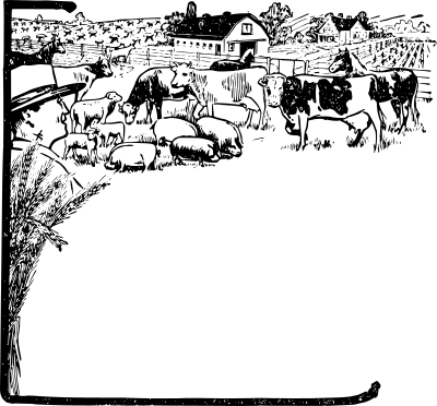 farmanimalsframe