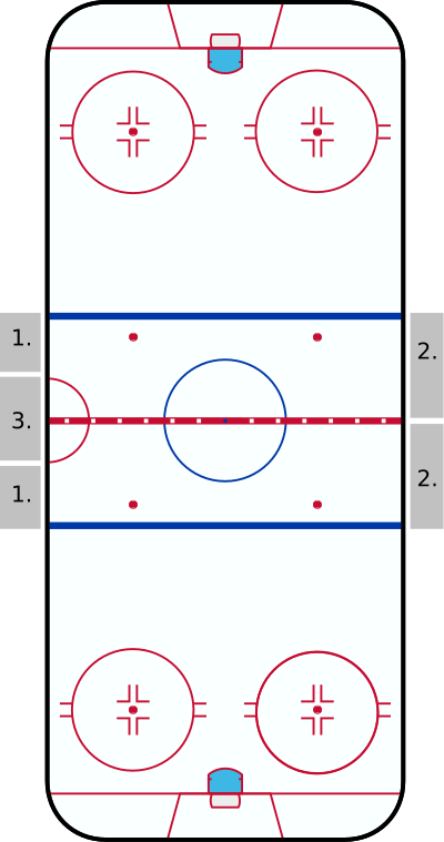 nhl hockey rink