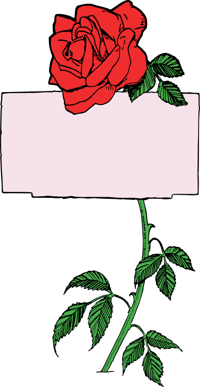 roseframe color