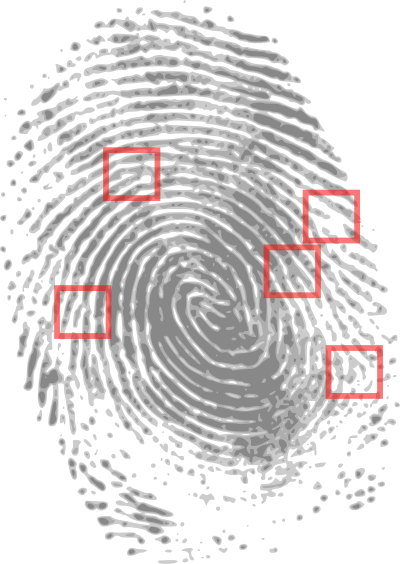 Fingerprint