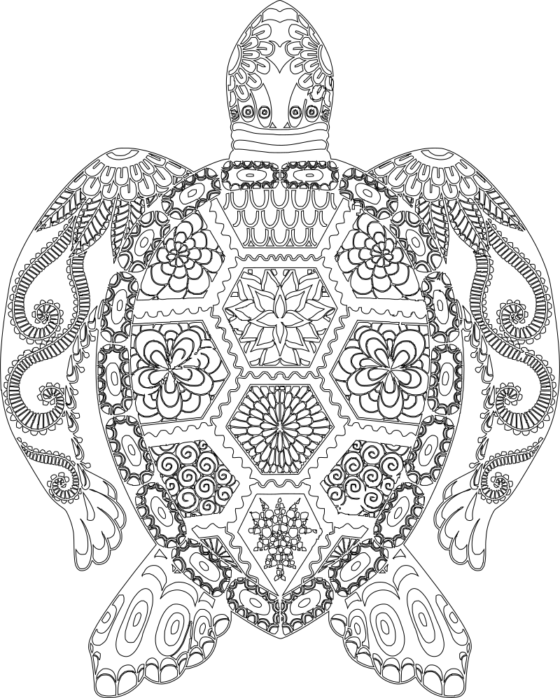 turtle mandala