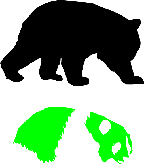 panda bear