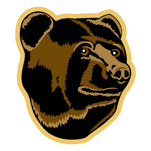 boston bruins bear