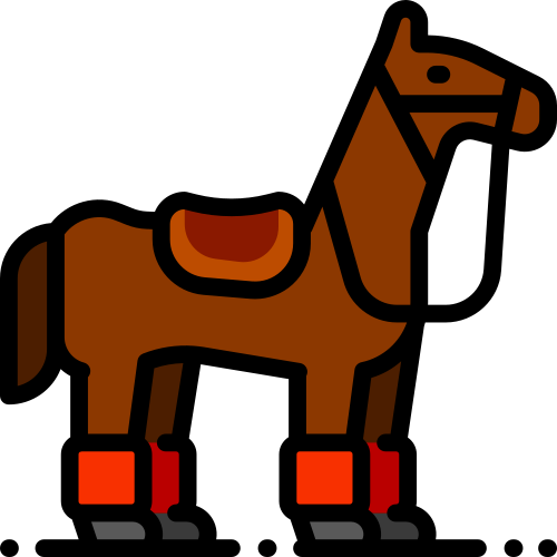 horse equestrian