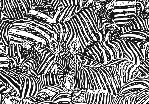 zebra print