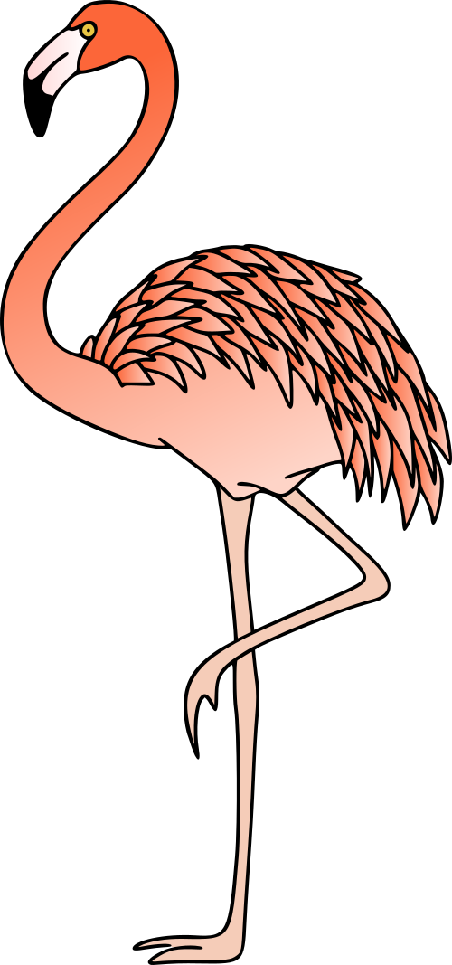 flamingo