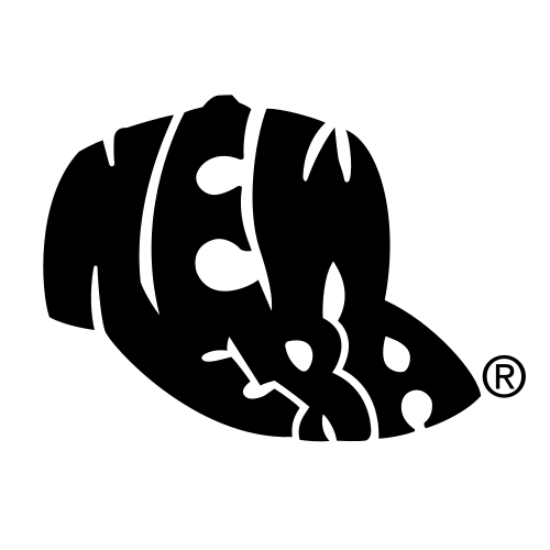 new era logo