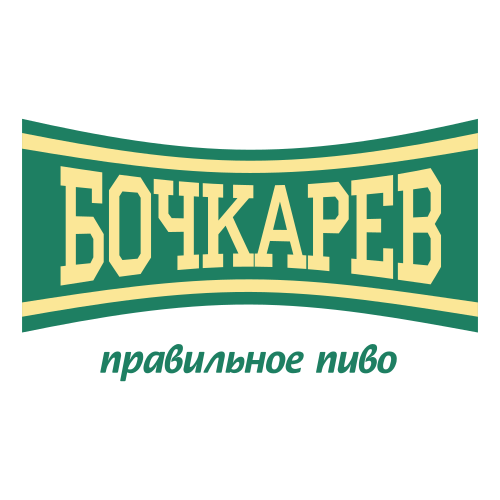 bochkarev logo