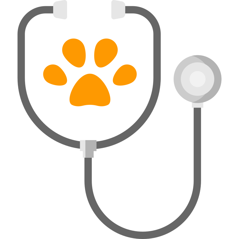 stethoscope doctor 1