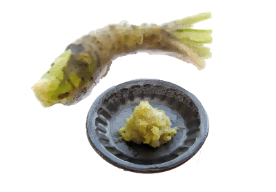 wasabi pdwiki