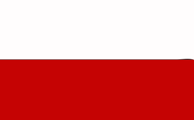 Poland flag 2016081011