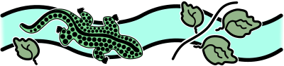 decor ornament lizard color