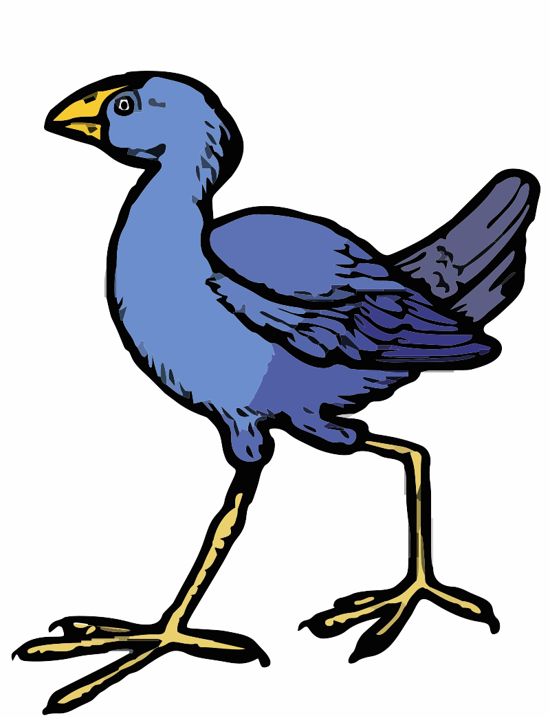 pukakabird