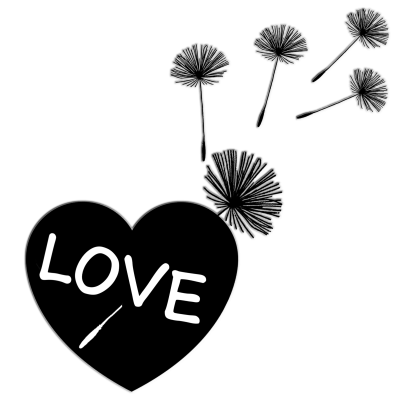 dandelion love 1