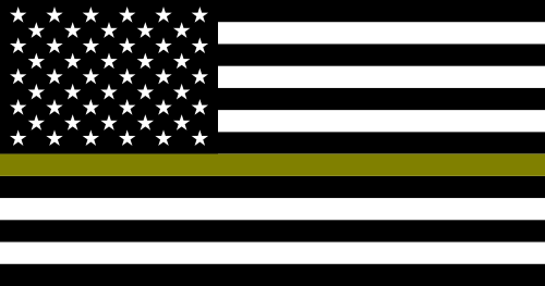 Flag of the United States Thin Gold Line