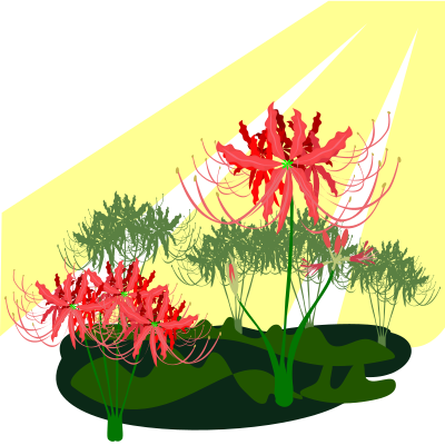 flower39lycoris radiatagarden