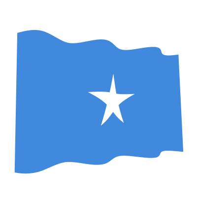 1608132385somalia waving flag