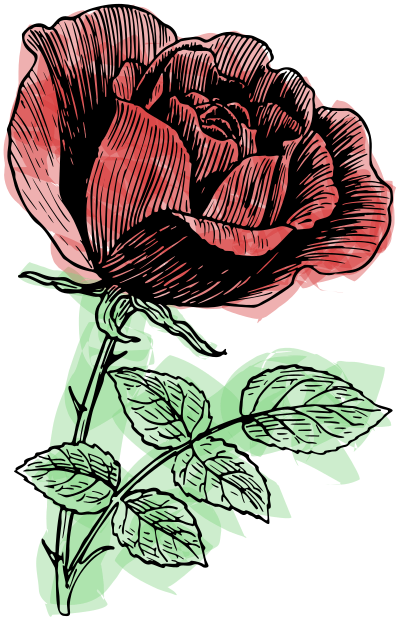 rose roughcolorremix