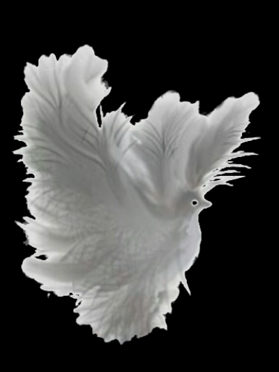 dove265776png