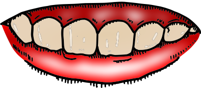 upper gums with teeth