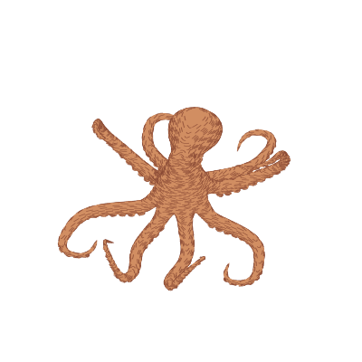 octopus1