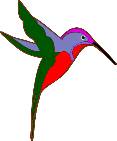 hummingbird 1