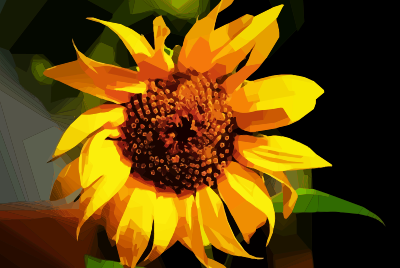 sunflower pd