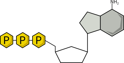 atp