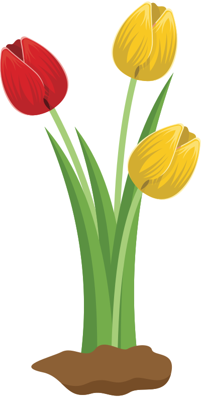 tulips vector