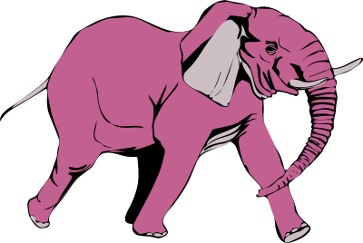 elefante in corsa pink