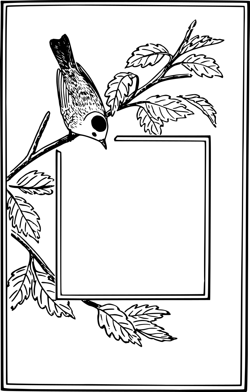 birdframe1908