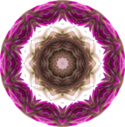 Wildflower6