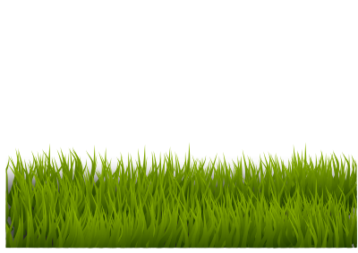 grass 120120171