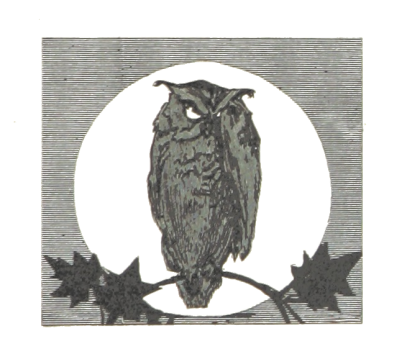 halloween owl british library archives transparent background