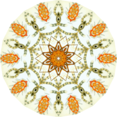 Arachnida8