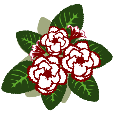 flower41b
