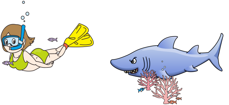 sharkhuntslady