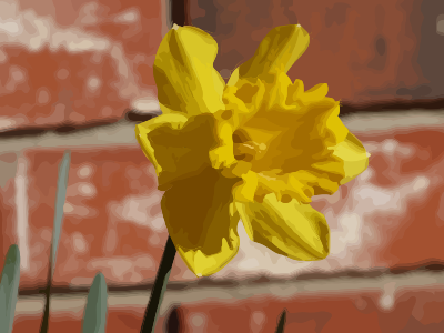 daffodils 05
