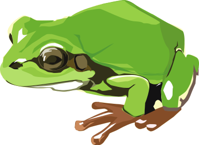 treefrog