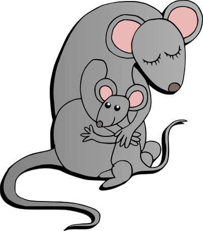 rat family color