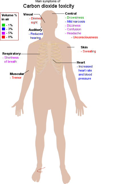 Main Symptoms Of Carbon Dioxide Toxicity