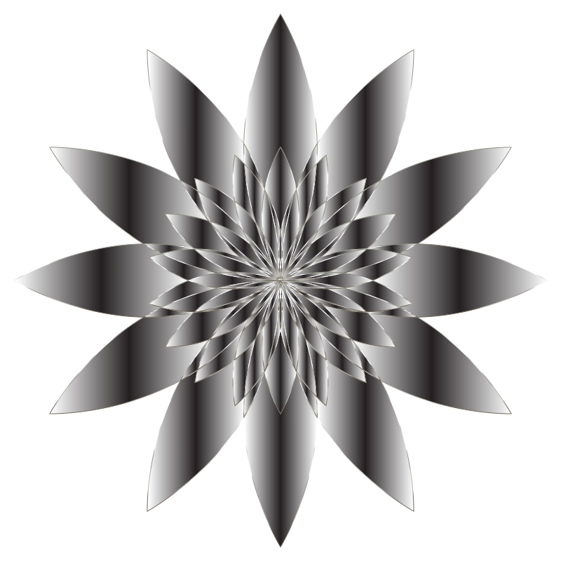 Chromatic Flower 18 No Background