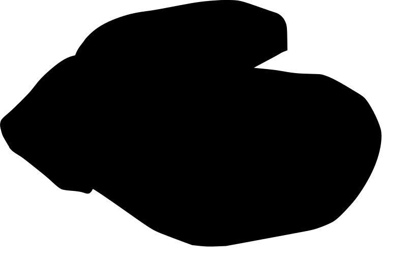 stone 6