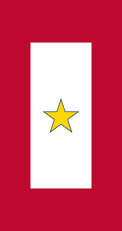 goldstarservicebanner