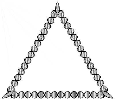 DNA Triangle